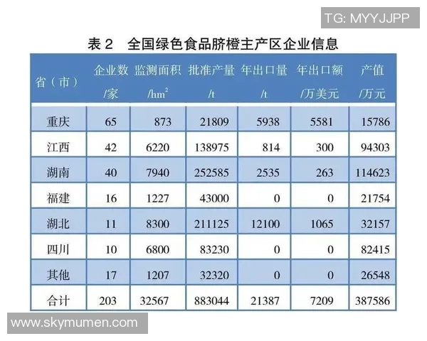 北京足球队团队协作的成功秘诀与发展策略深入分析